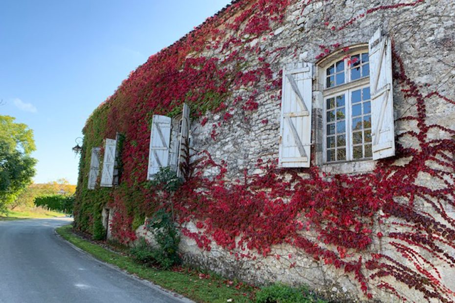 chateau_de_vielles_vignes-exterior